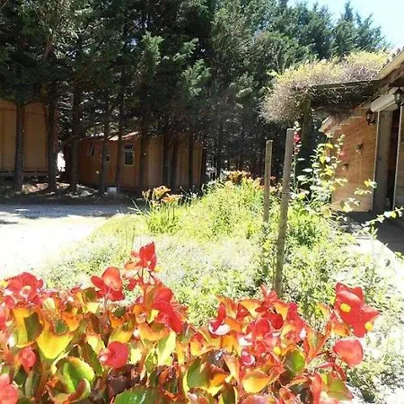 3 Etoiles - Piscine - Ccbafie * Vesc