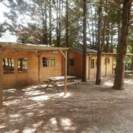 Chalet 3 Etoiles - Piscine - Ccbafie *